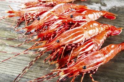Krill are tinier, shrimp like crustaceans that live in oceans around the world.