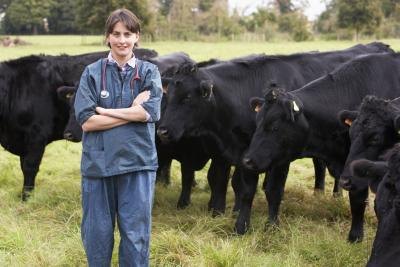 We may face a shortage of large animal veterinarians in the future.