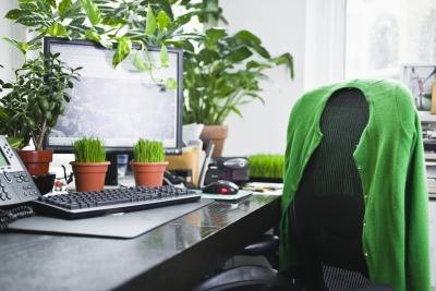 Consider buying a plant instead of the traditional flowers.