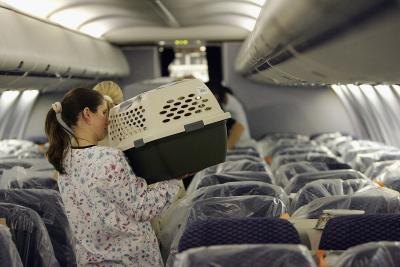 Pet owner boarding flight