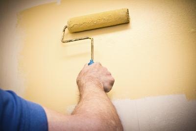 man using roller paint on wall