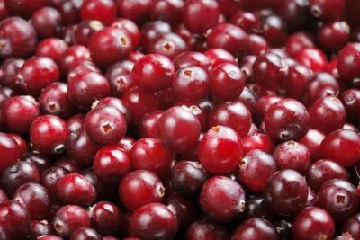 A batch of fresh cranberries.