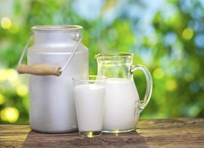 Dailry includes milk , yogurt and cheese.