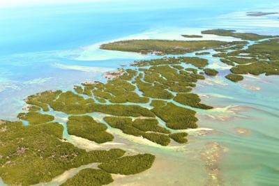 The Florida Keys are part of the U.S. so no passport is needed.