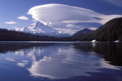 Hire a water quality consultant to test the water to impurities.