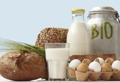 Carbohydrates, proteins and fats are three basic food groups.