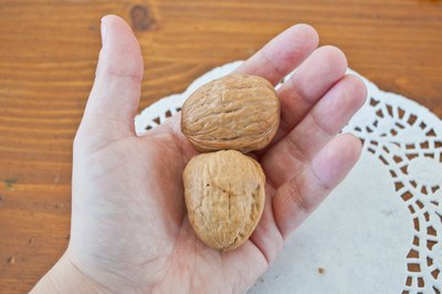 walnut stock crack