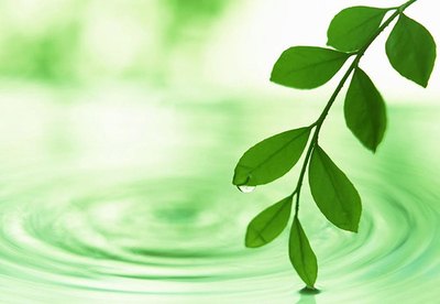 Differences in water temperature can produce differences in plant growth