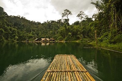 Usually, warm water is beneficial to plants that grow in the water
