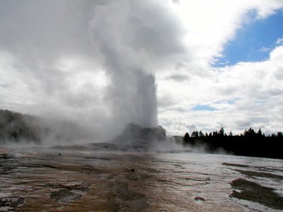 Both extremes of hot and cold water can be very detrimental to healthy plant growth