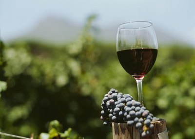 Wine grapes