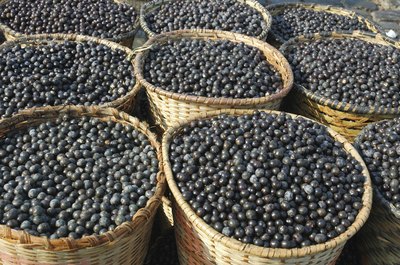 Large baskets filled with acai berries