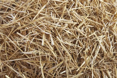 Stack hay