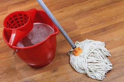 Mop and bucket cleaning wood floor