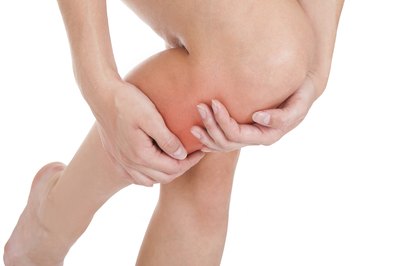 Knees are the largest joints in the body.