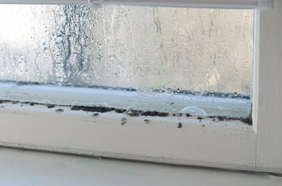 Mildew on a windowsill.