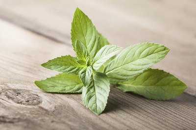 Mint leafs