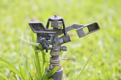 Close-up of stopped sprinkler on grass