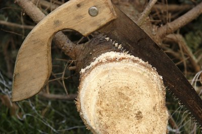 Christmas tree saw