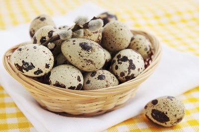 Quail eggs are approximately one-fourth the size of chicken eggs.