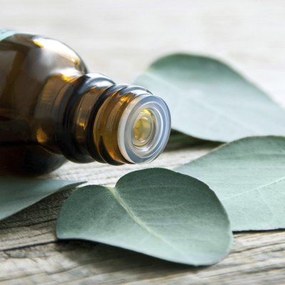 Eucalyptus oil