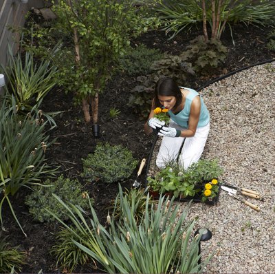 Woman gardening