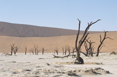 If an area goes dry for an extended period, it will need to find a new source of water or seek alternate power sources such as solar energy.
