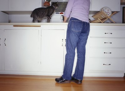 Woman wearing clog type shoes