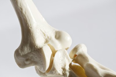 Bone marrow is the fatty tissue inside of your bones.