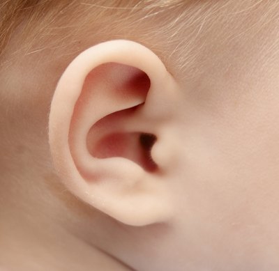 Closeup of toddler ear