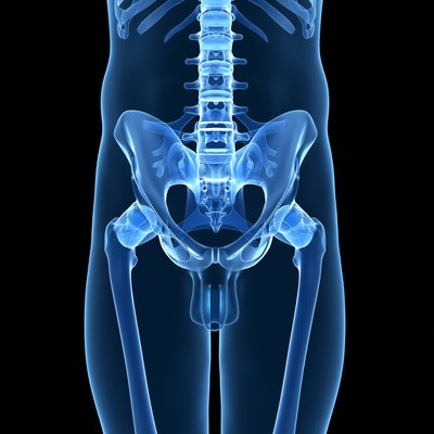 Hip bone
