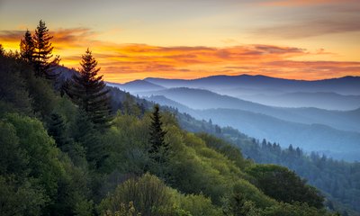 North Carolina.
