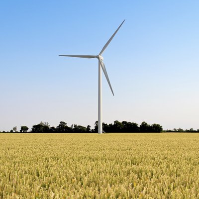 A wind turbine spins in the middle of a wheat field.