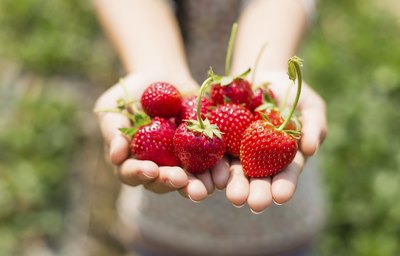 Children under the age of 2 should not eat strawberries.