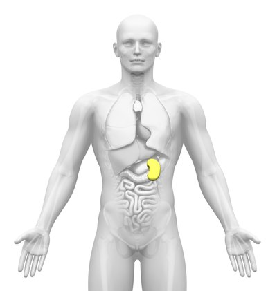 What Are the Causes of Spleen Enlargement?