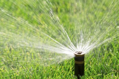Close-up of sprinkler valve on grass