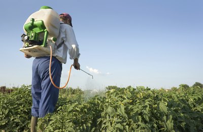 State law may allow you to pay for pest control, and deduct the cost from your rent.
