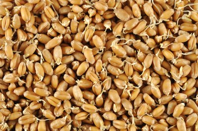 Wheat germ is a good source of vitamin E.