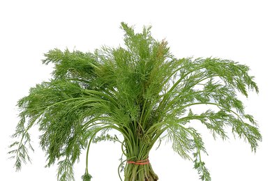 Herbs