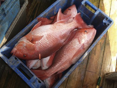 Hawaii has unique fish dishes.