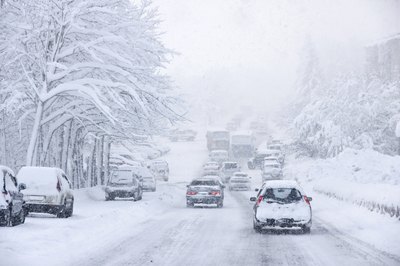 Blizzards disturb the lives of animals and humans.