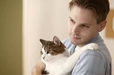 Take the time to daily clean your cat's litter box.