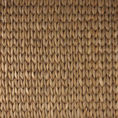 fibers