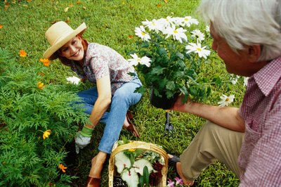 Plants for her garden and other items may make good gifts.