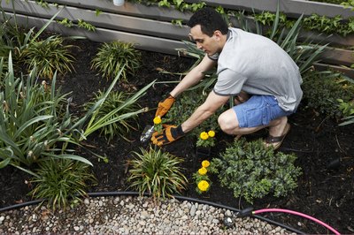 Planting Based on pH