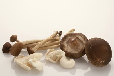 Many mushrooms are safe.