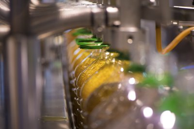 Olive oil production line