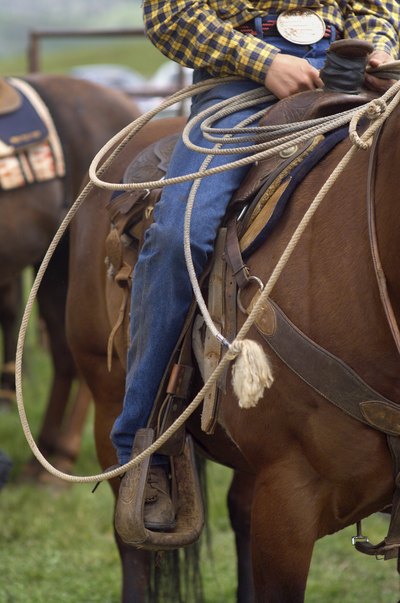 A cowboy wearing jeans rides his horse