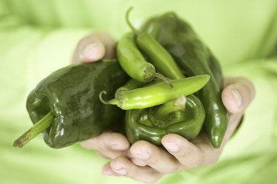 Person holding an assortment of green chilies and peppers