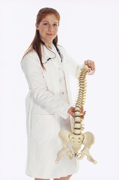 Doctor holding spine model